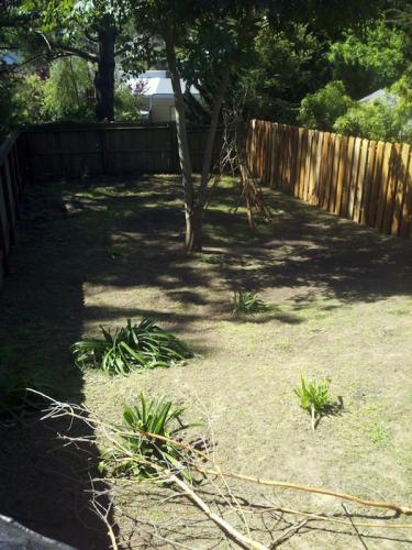 Back Yard: After